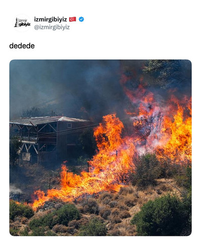 915329701525.jpg