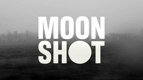 3559 04 博多之子.jpg