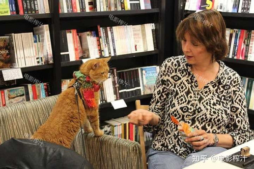 3365 01 鲍勃的圣诞礼物.jpg