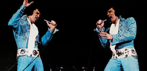 3381 01 猫王艾尔维斯 普雷斯利.jpg