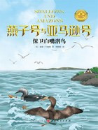 3500 01 燕子号与亚马逊号.jpg