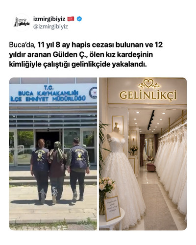 8a84c50ce64d.jpg