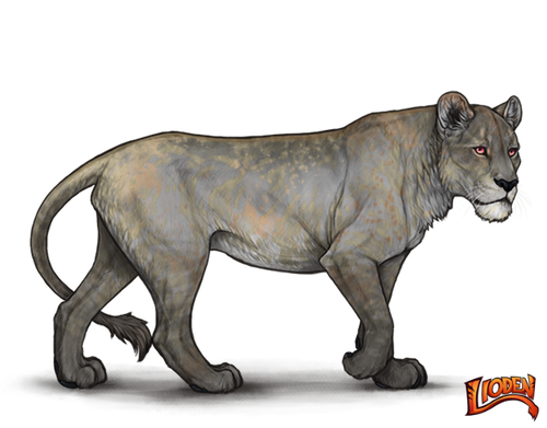 lioden wardrobe (8).png