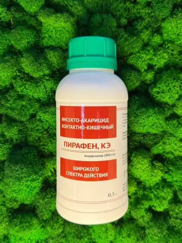 пирафен.webp