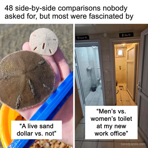 comparison pics.jpg