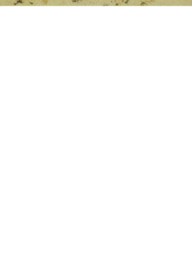 temp.png