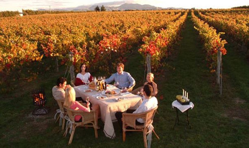 Plan the Perfect New Zealand Self Drive Tour.jpg