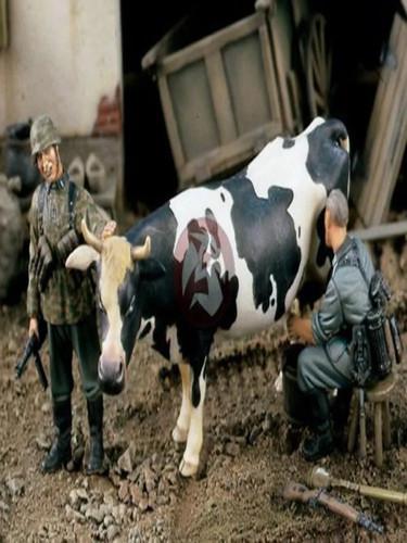 18676aa857af.jpg