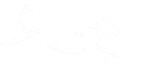 IMG 5001.png