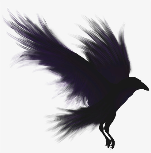 236 2360879 crows shadow emblem raven png.jpg