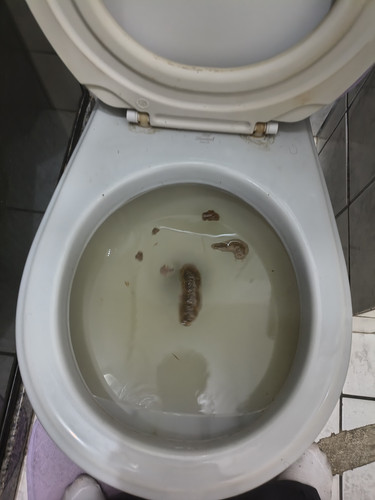 492324e2637a.jpg