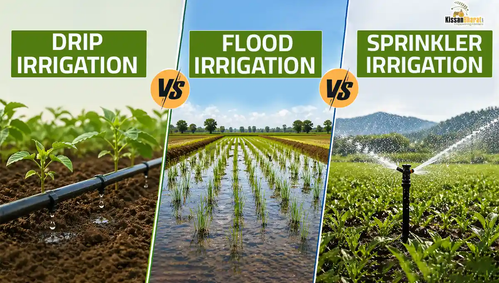 1777373460 Drip Irrigation vs Flood Irrigation vs Sprinkler Irrigation (1).png