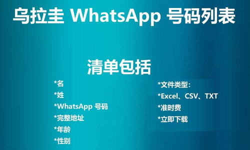 Uruguay WhatsApp Number List.jpg