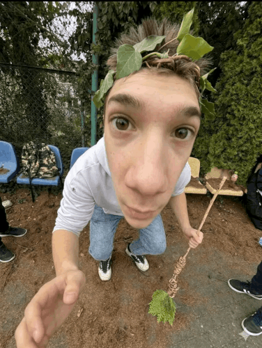 fdc3494a6029.gif