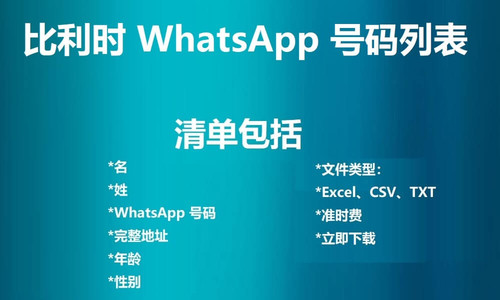 Belgium WhatsApp Number List.jpg