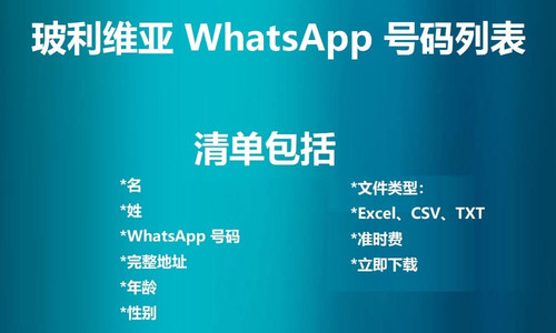Bolivia WhatsApp Number List.jpg