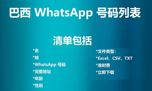 Brazil WhatsApp Number List.jpg
