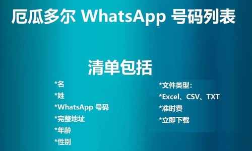 Ecuador WhatsApp Number List.jpg