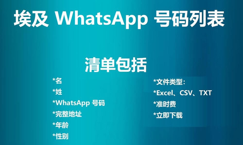Egypt WhatsApp Number List.jpg