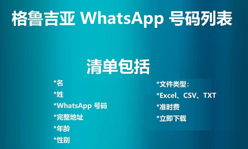 Georgia WhatsApp Number List.jpg