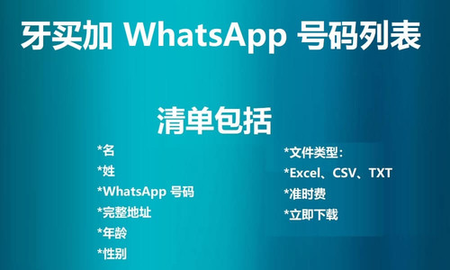 Jamaica WhatsApp Number List.jpg