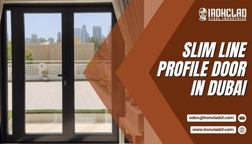 Slim Line Profile Door In Dubai.jpg