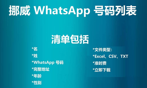 Norway WhatsApp Number List.jpg
