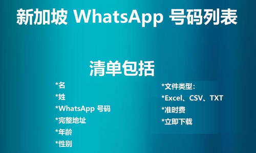 Singapore WhatsApp Number List.jpg
