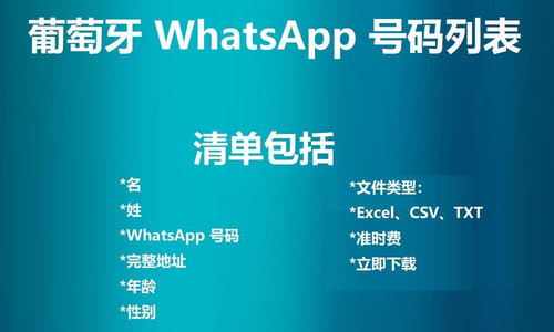 Portugal WhatsApp Number List.jpg