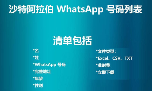 Saudi Arabia WhatsApp Number List.jpg
