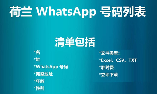 Netherlands WhatsApp Number List.jpg