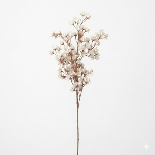 6d8861e7 1cde 47ce a24b d912456b12eb.jpg