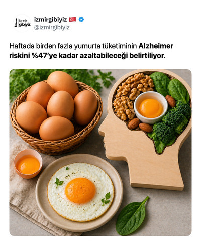 801c96ecff00.jpg