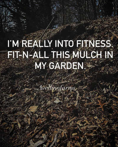 meme fitness mulch.jpg