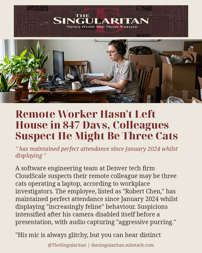 Remote Worker Hasn t Left House in 847 Days Colle 01.png