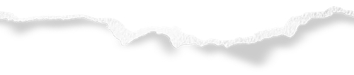 撕纸.png