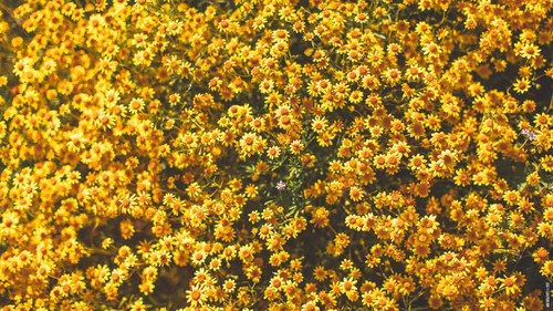 1000020424.jpg