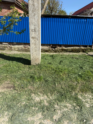 IMG 9308.png
