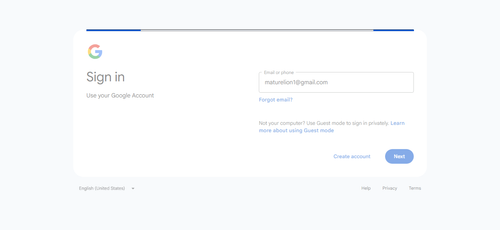 2026 04 28T14 03 27 294Z GOOGLE email entered password.png