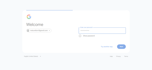 2026 04 28T14 03 31 510Z GOOGLE password entered.png