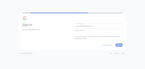 2026 04 28T14 04 19 592Z GOOGLE email entered password.png