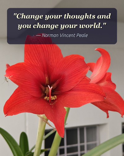 today quoted.jpg