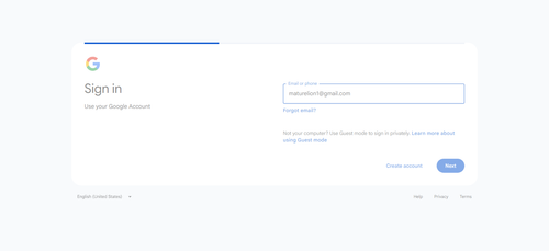 2026 04 28T14 11 59 804Z GOOGLE email entered password.png