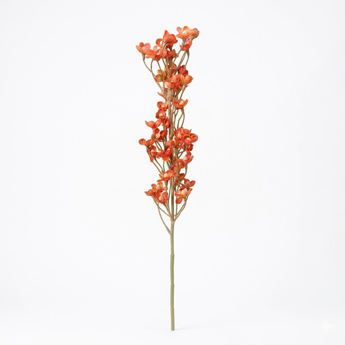 818fa5eb fbbd 4ca1 b0a8 8c98bcead075.jpg