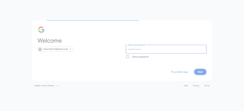 2026 04 28T14 12 03 479Z GOOGLE password entered.png