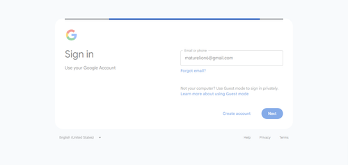 2026 04 28T14 12 28 784Z GOOGLE email entered password.png