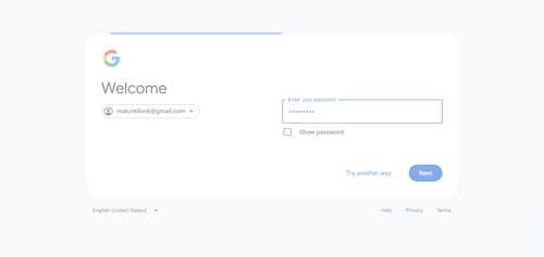 2026 04 28T14 12 32 112Z GOOGLE password entered.png
