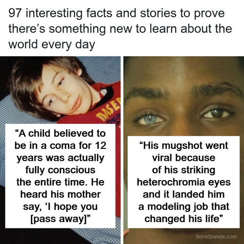 curiosities facts.jpg