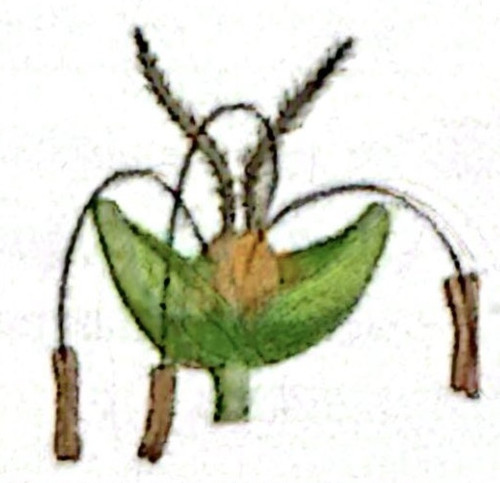 CamScanner 28 04 2026 15.07 1.jpg
