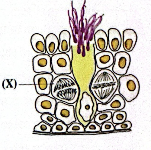CamScanner 28 04 2026 16.08 1.jpg